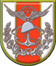 Türk Silahlı Kuvvetleri Forsu.png.png