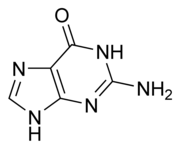 Guanine