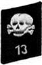Kragenpatten, 13. SS-TK-Standarte.jpg