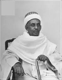 علي الميرغني.jpg