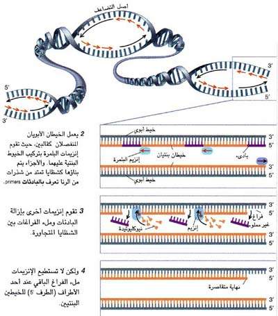 تعليق