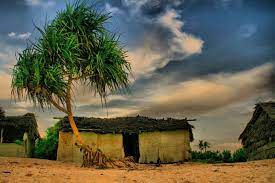 صورة من منتزه لاج بدانا الوطني.jpg