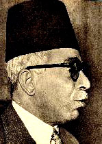 محمد حسين هيكل.