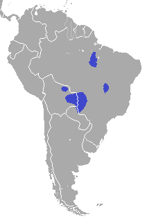 Hyacinth area.png