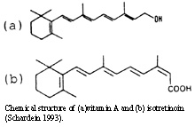 RAstructure1.jpg