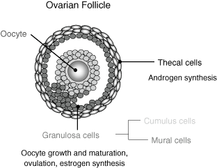Urn cambridge.org id binary 26089 20160512114536279-0340 00112fig19 1.gif