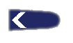 عون نظام عام شرطة جزائرية.png