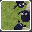 القطيع (Herd)