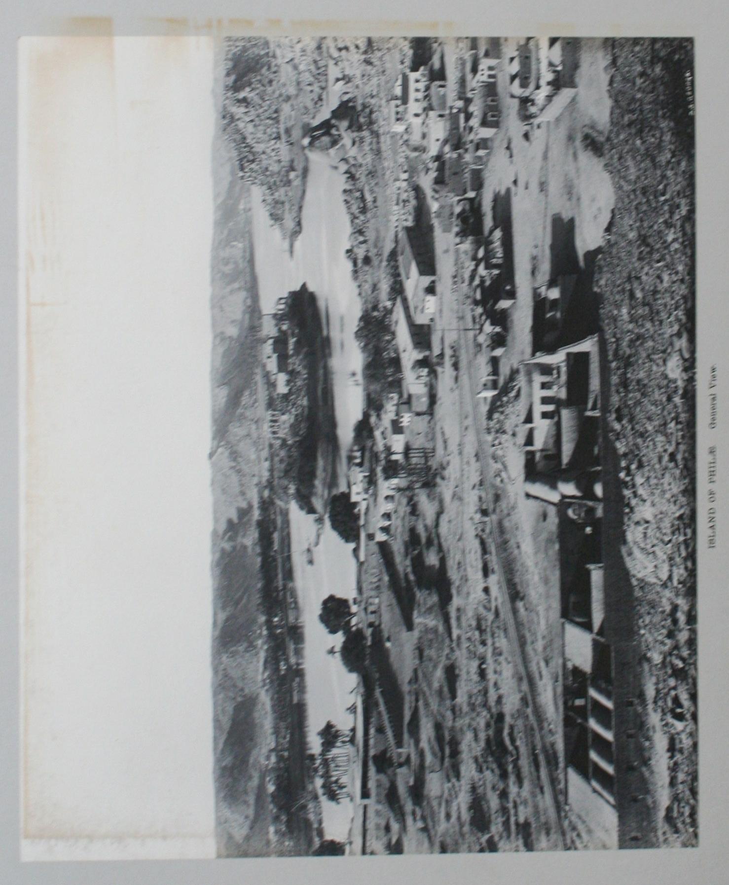 15682 7.jpg