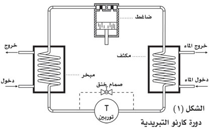 2250-1.jpg