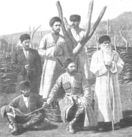 Nobl w7.jpg