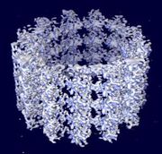 Microtuble.jpg