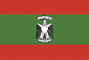Tanzeem Flag.jpg