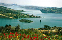 Berdanbaralgolu.jpg