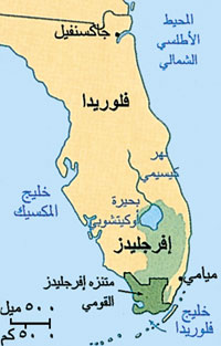 إفرجليدز.jpg