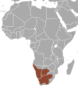 Meerkat area.png