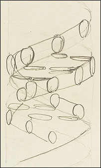 FirstSketchOfDNADoubleHelix.jpg