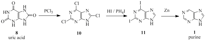 FischerPurineSynthesis.gif