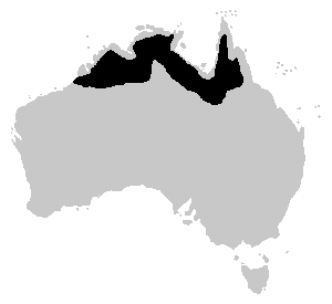 Crocodylus johnstoni range.png