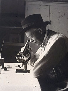 Charles-nicolle.jpg