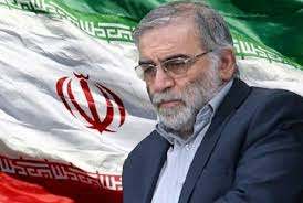 محسن فخري زادة