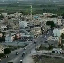 كلمة-الاردن-الشونه.jpg