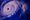 Hurricane from satellite.jpg
