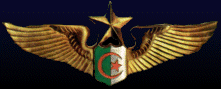 Insigne-AAF.PNG