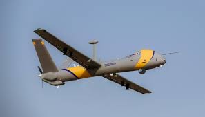 مسيرة-حزب الله.jpg