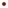 Adoni (271)