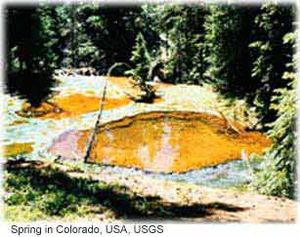 Wcspringcoloradolores.jpg