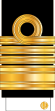 20-IRIN-VADM-(Sleeve).svg