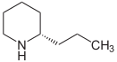 Coniine