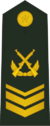 PLAGF-0707-3CSGT.png