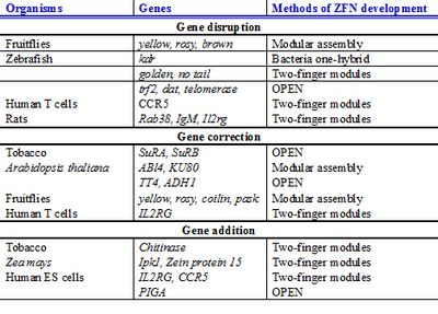 Endogenous genes targeted.jpg