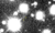 Erinome-Jewitt-CFHT-annotated.gif