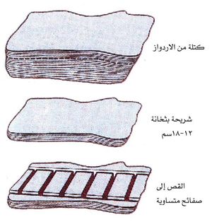Salte3.jpg