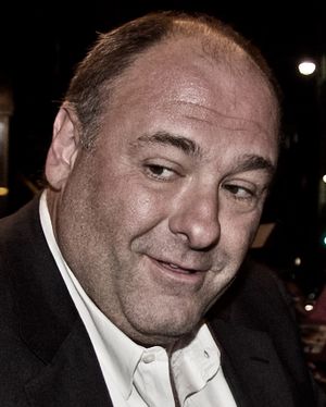 JamesGandolfiniSept11TIFF.jpg