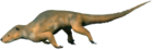 Palaeosinopa didelphoides