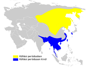 صورة معبرة عن الموضوع نقشارة قاتمة