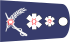 דרגת רמג.svg