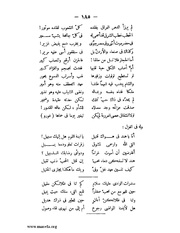 الصفحة التالية &larr;