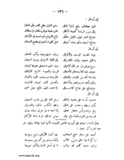 الصفحة التالية &larr;