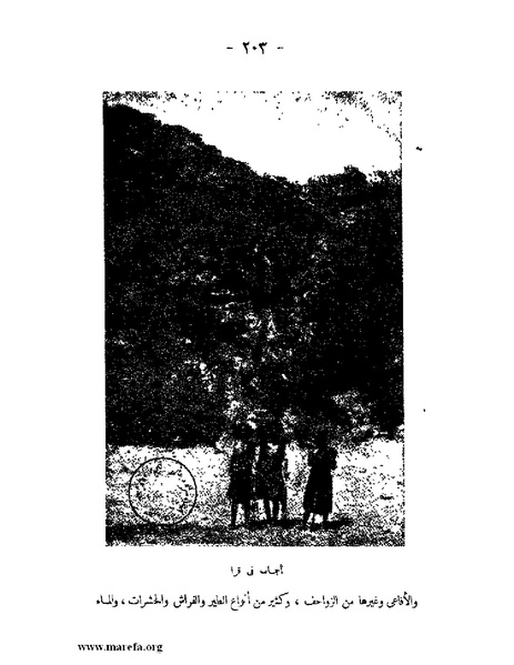 ملف:تاريخ حضرموت السياسي ج 2.pdf