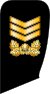 7.SKN-SCPO.svg