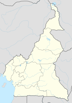 دوالا is located in الكامرون
