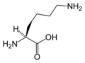 L-ليسين (Lys / K)