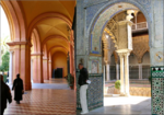 Andalucia (7).png