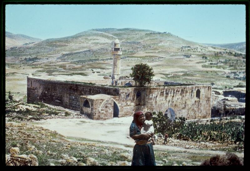 ملف:Nabi Yahya Mosque.jpg