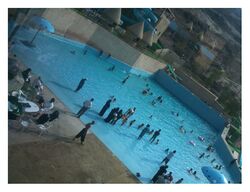 محطة تلفريك فندق رمادا الهدا.